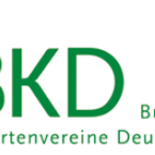 BKD informiert &nbsp;11/2026 &nbsp;