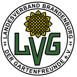 BDG informiert 09/2023